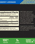 ON Micronized Creatine